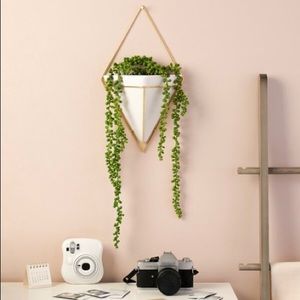 Trigg Ceramic Planter Wall Decor